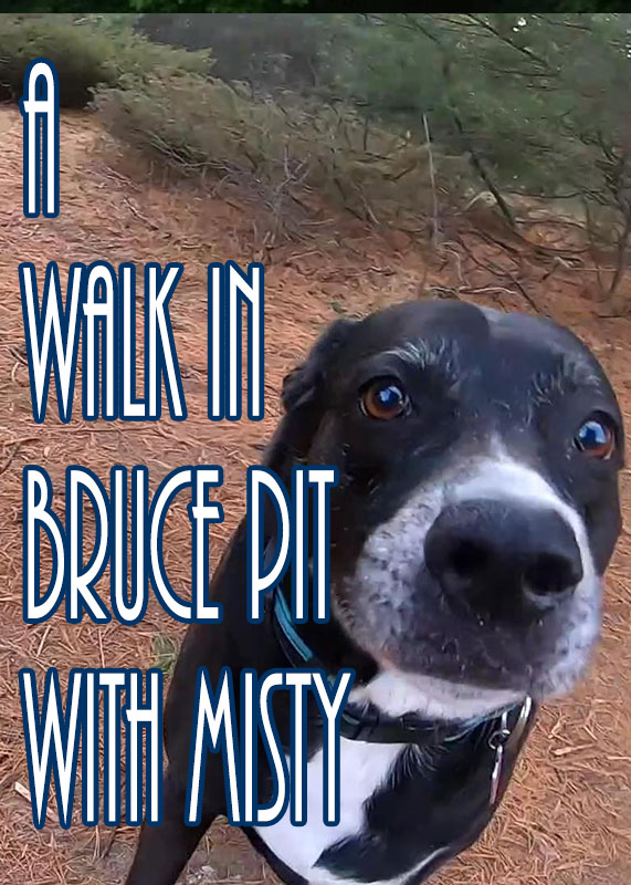 A Walk in Bruce Pit With MIsty 2019
