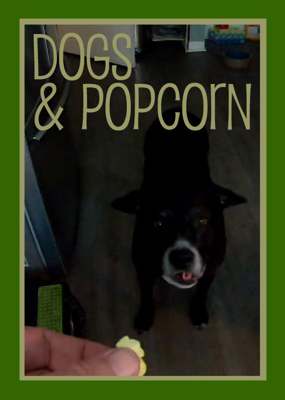Dogs & Popcorn