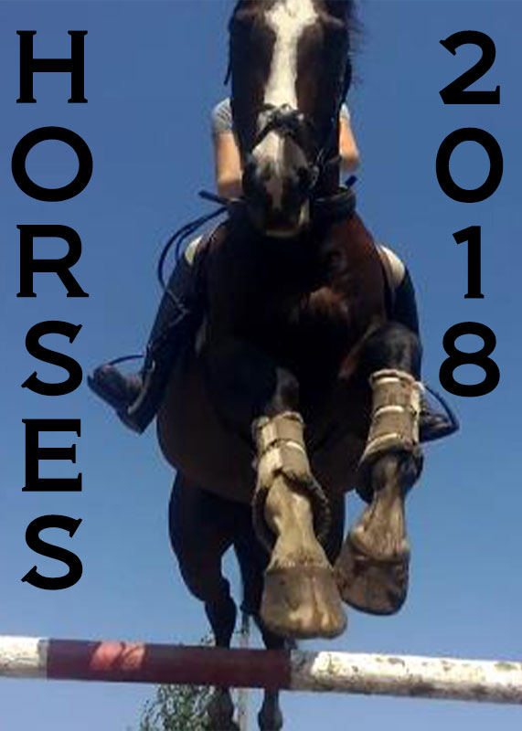 Horses 2018